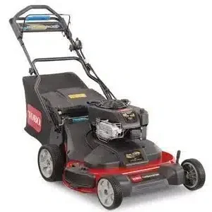 Toro TimeMaster 30-inch 223cc Personal Pace Mower, Electric Start